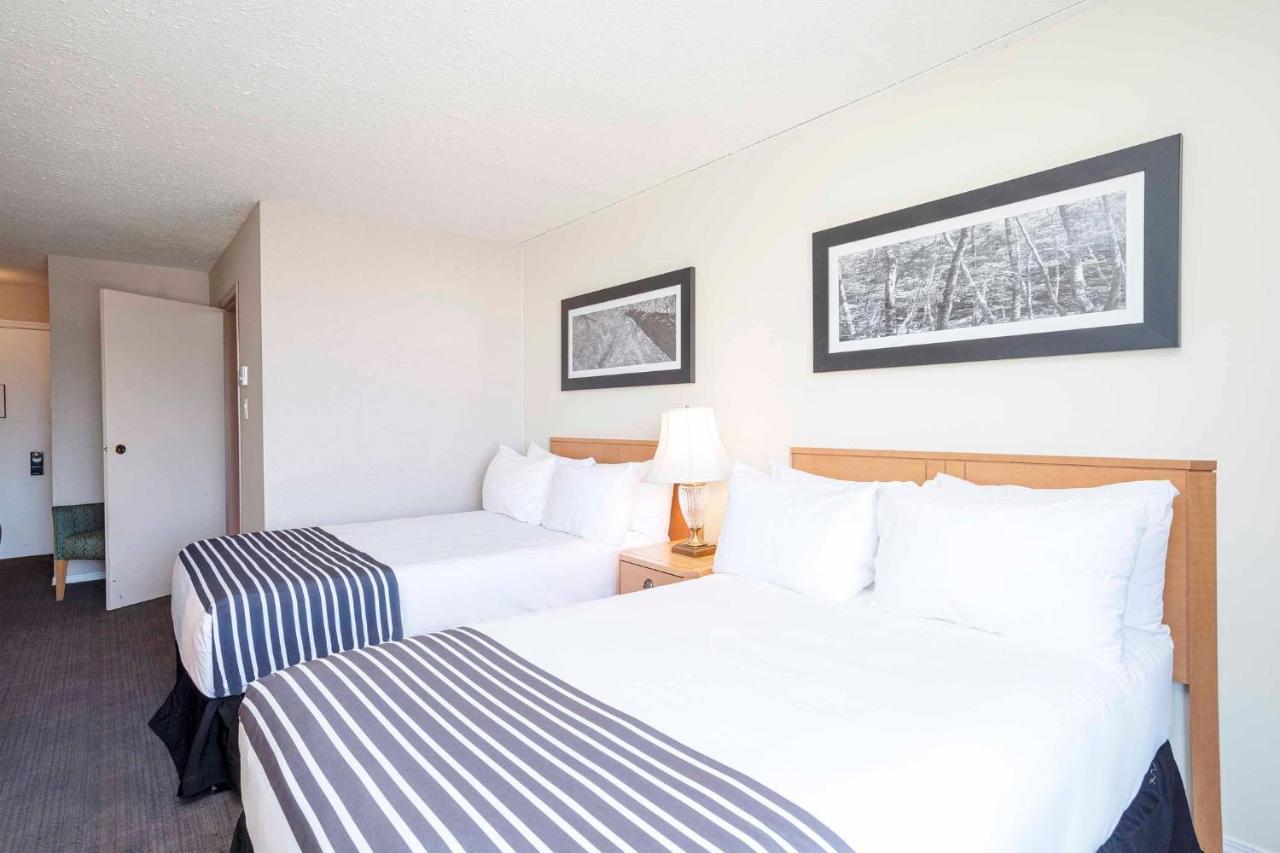 Sandman Inn Mcbride Luaran gambar